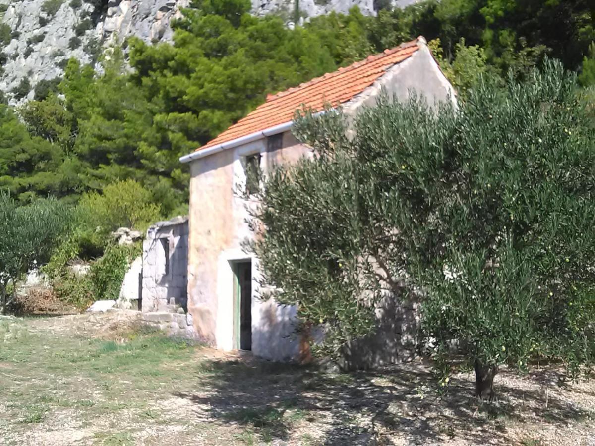 Appartement Zorana à Mimice Extérieur photo